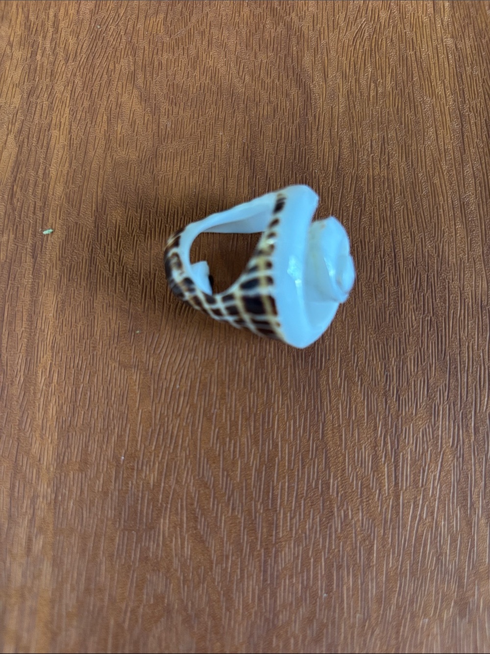 White Ceramic Ice Cream Cone Ring with Brown Cone Detail